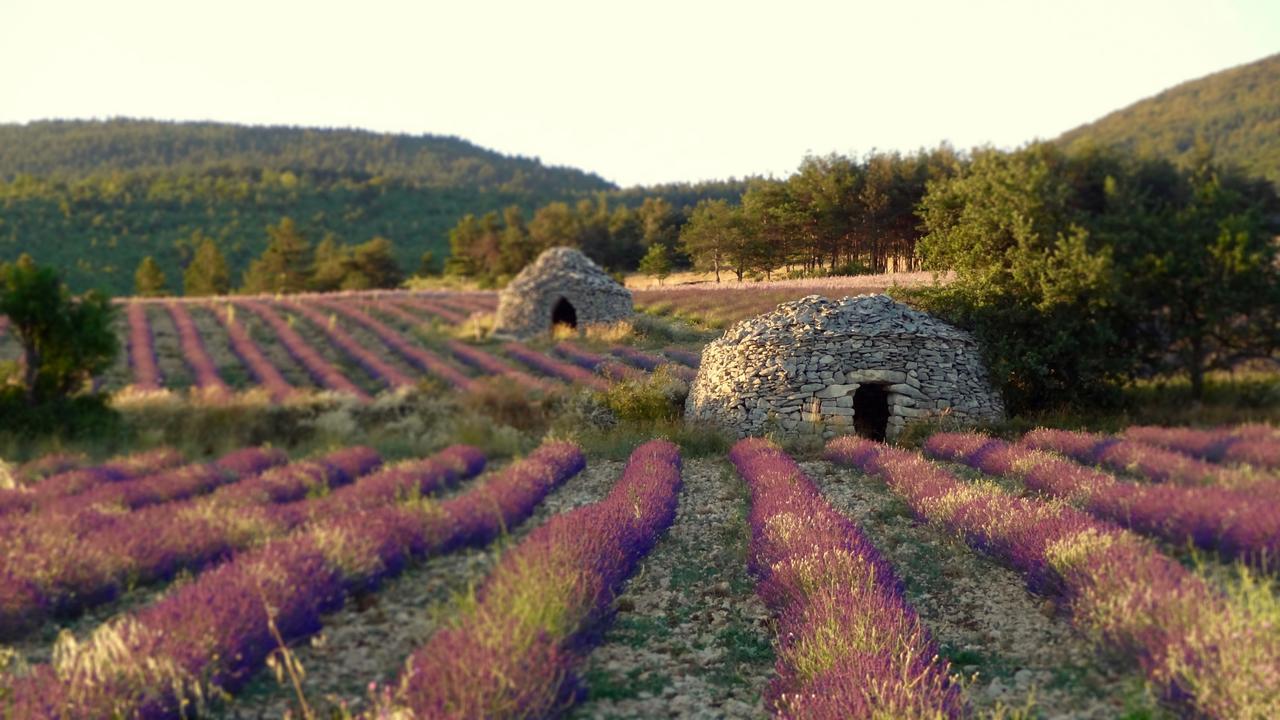 Chateau Ferrassieres 외부 사진